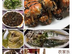 -乡乐园蟹庄·阳澄湖农家乐