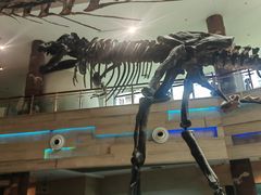 -安徽省地质博物馆