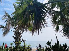 -大梅沙海滨公园