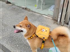 -Leben burger 乐本汉堡