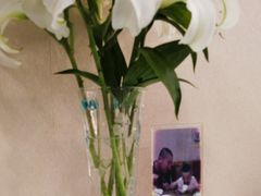 -谦和素食自助餐(云峰花园店)