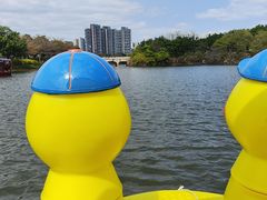 -广东花都湖国家湿地公园