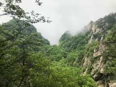 -王顺山国家森林公园