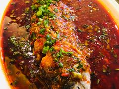 -陈麻婆豆腐总店