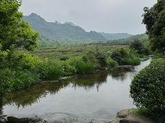 -中国茶叶博物馆(双峰馆区)