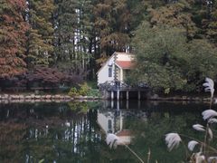 -上海共青森林公园