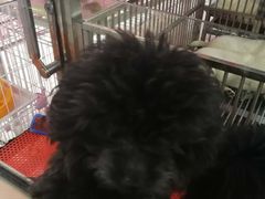 -宝鸡东道花鸟鱼虫市场(吉利花园商场店)