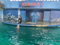-苏州海洋馆