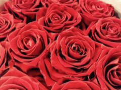 -ROSEONLY诺誓(青岛万象城店)