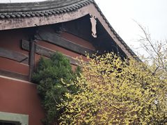 -钱王祠