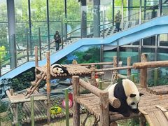 -大连森林动物园