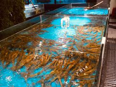 -宝燕海鲜(好爱店)