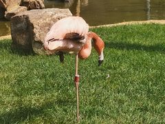 -沈阳森林动物园