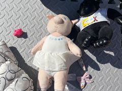 -北京市邮政管理局海慧寺幼儿园