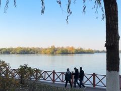 -丁香湖公园