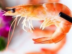 -187机车生活馆