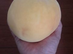 -西郊国际农产品交易中心