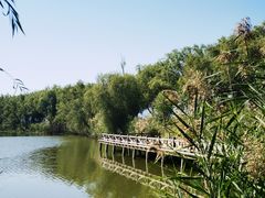 -野鸭湖国家湿地公园