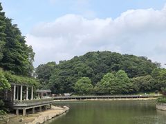 -广州市帽峰山景区