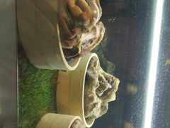 -川锅一号火锅(睢宁店)