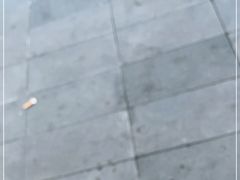 -普拉达游泳健身(水湾1979店)