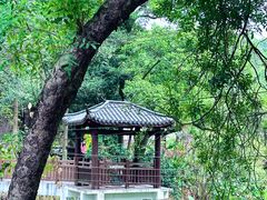 -火炉山森林公园