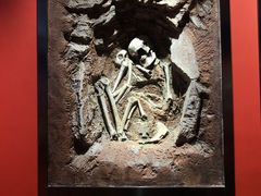 -迪庆藏族自治州博物馆