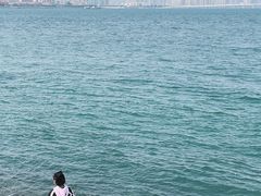 -海堤纪念公园
