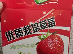 -小鱼草莓采摘园农家乐·小鱼餐厅