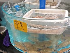 -大家发海鲜城夜排档(华山中路店)