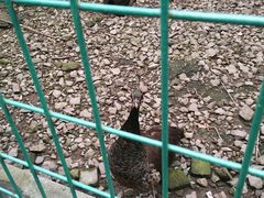 景点-藏龙百瀑风景区