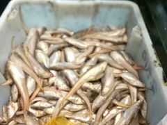 -启东海鲜人家(古美路店)