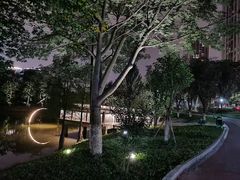 -顺峰山公园