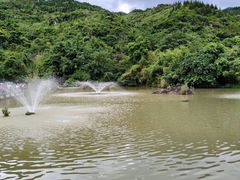 -黔灵山公园