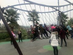 -枫香湖儿童公园