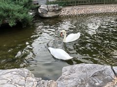 -北京市海淀外国语实验学校