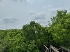 -南京市江宁方山