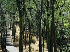 -火炉山森林公园