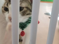 -福田卓悦INTOWN购物中心