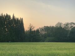 -桤木河湿地公园