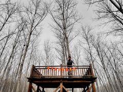 -黄海国家森林公园