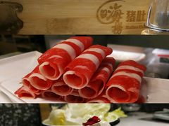 -洪氏嗨捞·猪肚鸡火锅(阳光天地店)