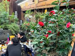 -龙姐私房菜(和顺古镇店)