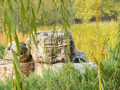 -滨河世纪广场公园