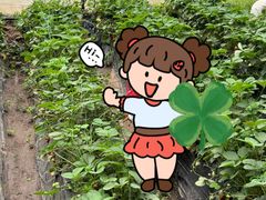 -大自然农场蔬菜草莓采摘园