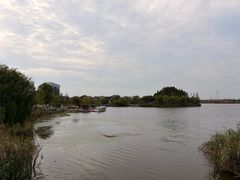 -杭州湾海上花田景区