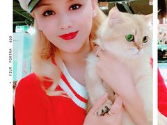 -猫小院猫主题餐厅(三里屯店)