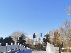 -大兴滨河森林公园