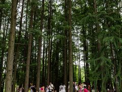 -东湖落雁景区