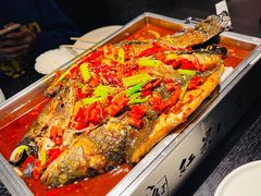 烤黑鱼-红果川菜(客运站店)